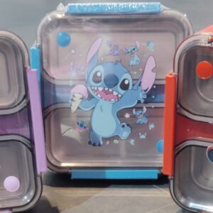 2 Compartment insulated Lunch box